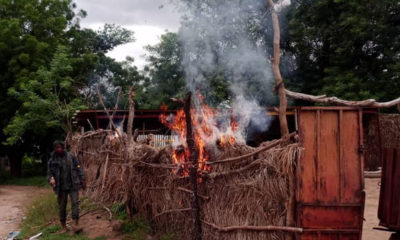 Seven arrested as Army raids baby factory in Nigerian-Cameroon border