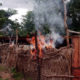 Seven arrested as Army raids baby factory in Nigerian-Cameroon border