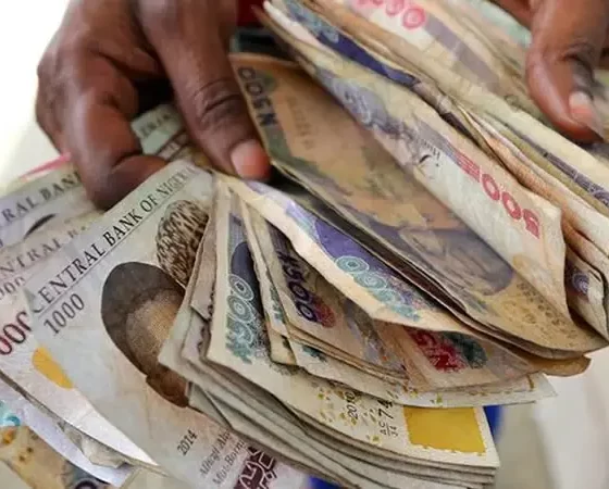 Naira Falls to ₦1,920 as Pressure Mounts on Black Market
