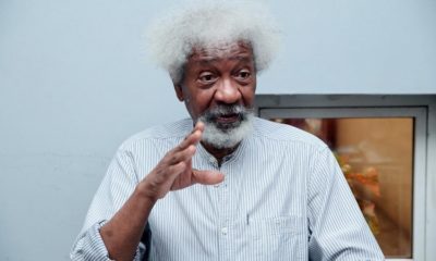 Visa Ban: Why US Stopped Wole Soyinka From Entry America, Fresh Details Emerge
