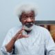 Visa Ban: Why US Stopped Wole Soyinka From Entry America, Fresh Details Emerge