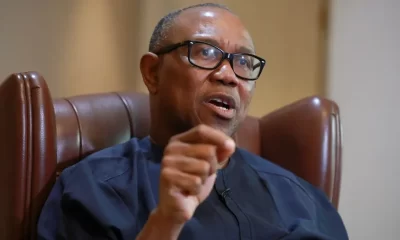 I'll remain in PDP, but support Peter Obi if... – Lamido