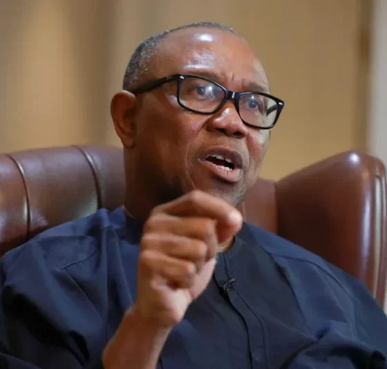 2027: South-East should get PDP ticket, we owe them – Party Chieftain