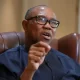 I'll remain in PDP, but support Peter Obi if... – Lamido