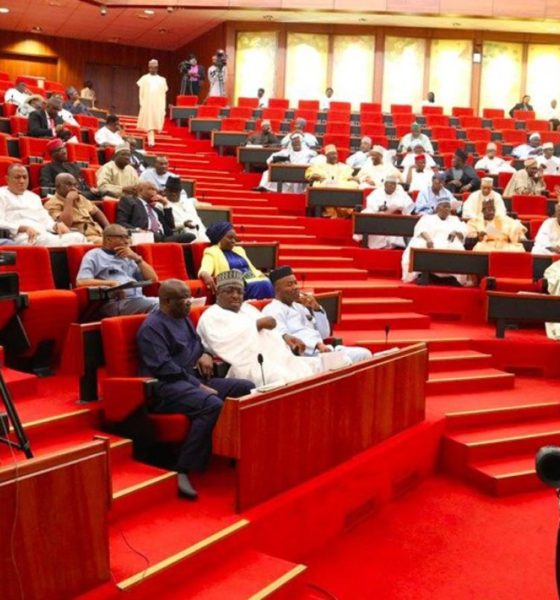 Senate Moves To End Second-Term Ambitions for President, Governors