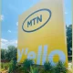 Former expatriate staff of the MTN Group, Mr. Paul Odunewu, has filed a further-counter-affidavit at the Court of Appeal, Lagos Division, in