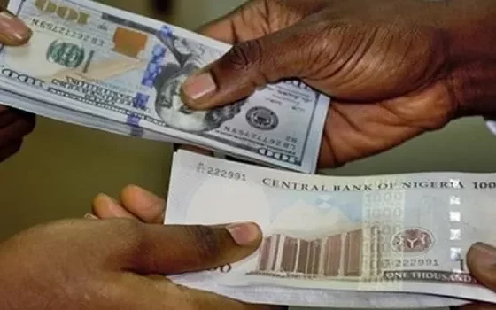 Dollar to Naira Black Market Exchange Rate Update