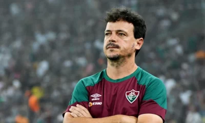 Brazil fire national team coach Diniz after Ancelotti's snub