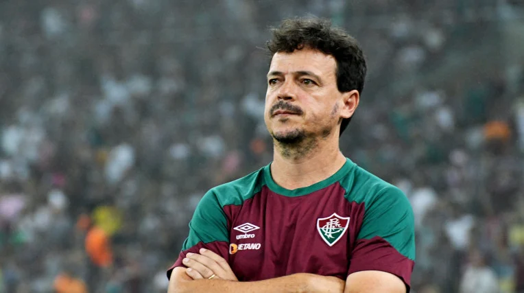 Brazil fire national team coach Diniz after Ancelotti's snub