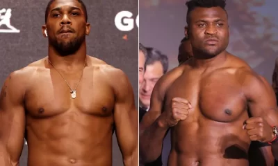 Anthony Joshua v Francis Ngannou