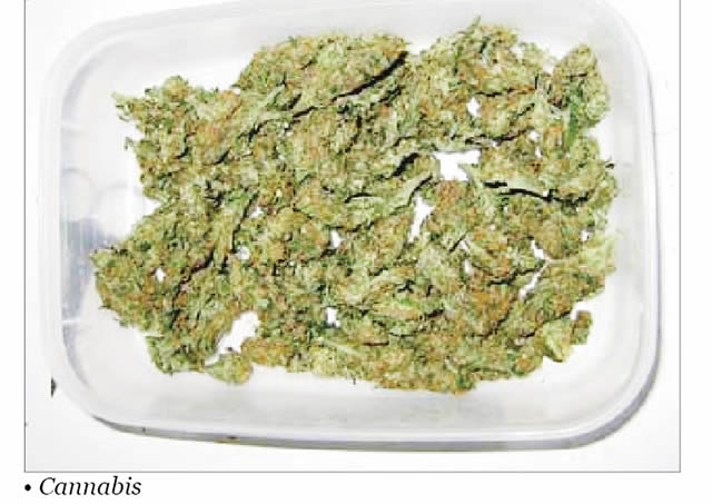 Germany to legalise cannabis from Monday