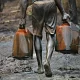 Oil theft-induced violence responsible