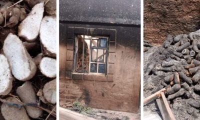 Tension in Benue as herdsmen destroy yam seedlings, cassava farms 