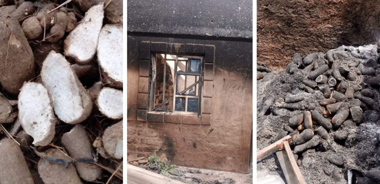 Tension in Benue as herdsmen destroy yam seedlings, cassava farms
