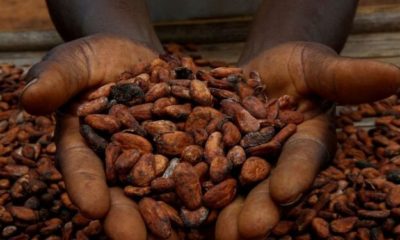 Cocoa futures recovered above the $10,150 mark on the Intercontinental Exchange (ICE) in New York as it consolidated below this week’s