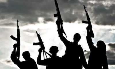 Terrorists release Zamfara university students seven months after abduction