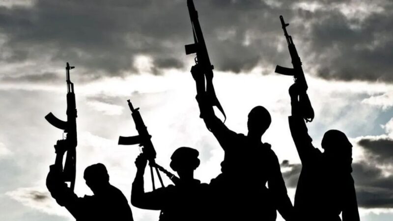Terrorists release Zamfara university students seven months after abduction