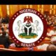 Senate Approves FG's N1.15trn Loan To Fund 2025 Budget Deficit