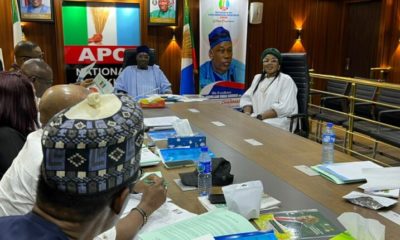 APC Screening Committee Clears Female Aspirant, Funmi Ayinke