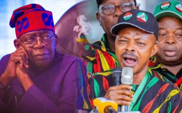 The Organised Labour has again rejected a fresh minimum wage proposal by the Federal Government. This time, the Organised Labour