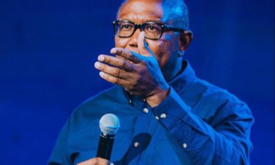 The 2023 Labour Party presidential candidate, Peter Obi, has addressed the possibility of a merger between the LP and the Peoples Democratic