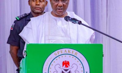 Parliamentary System, Single-Term Presidency Signpost Hard Choices Before Nigerians