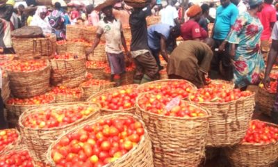 As Sallah approaches, Nigerians, particularly the Muslim faithful, will be struggling with record-high inflation, which has driven up the