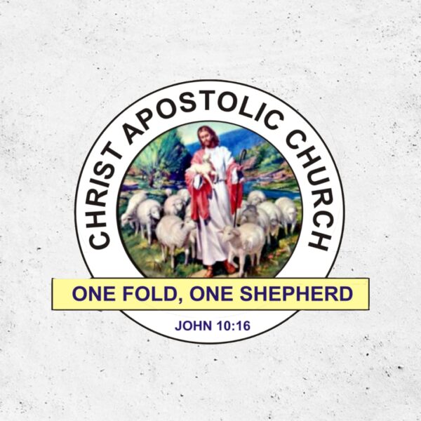 Panic as Bandits Abduct 30 Worshippers in Church Attack