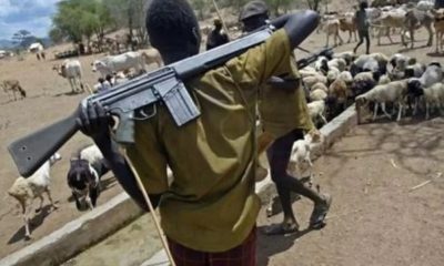 Man shot dead, lady injured as suspected herdsmen attack Delta community