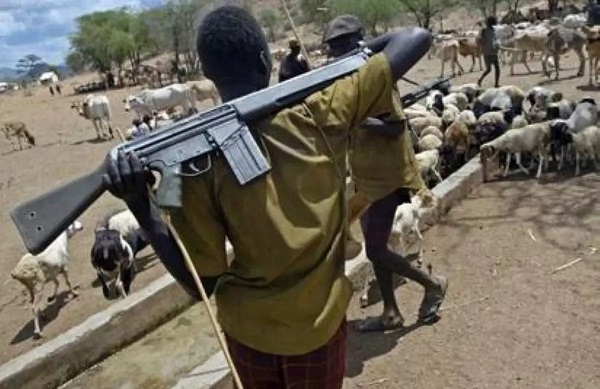 Man shot dead, lady injured as suspected herdsmen attack Delta community