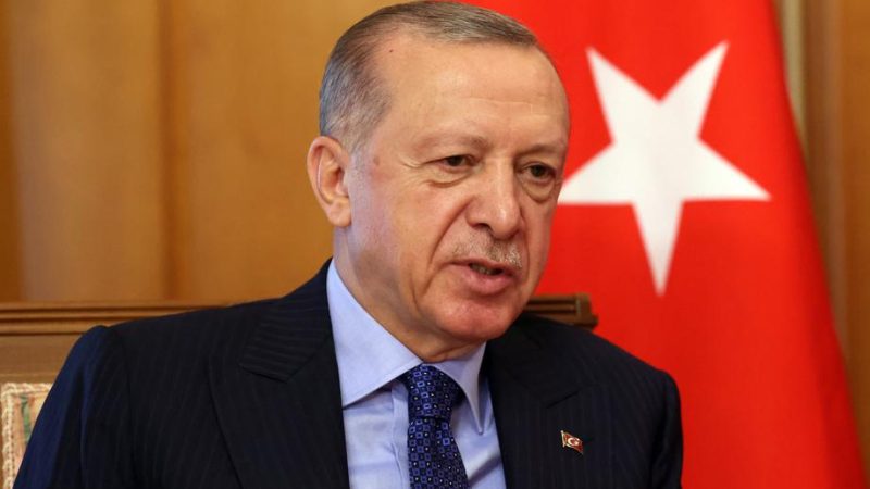 Erdoğan says Turkey might enter Israel to help Palestinians