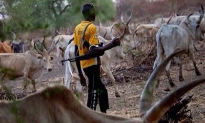 Herdsmen kill 26 in Benue communities