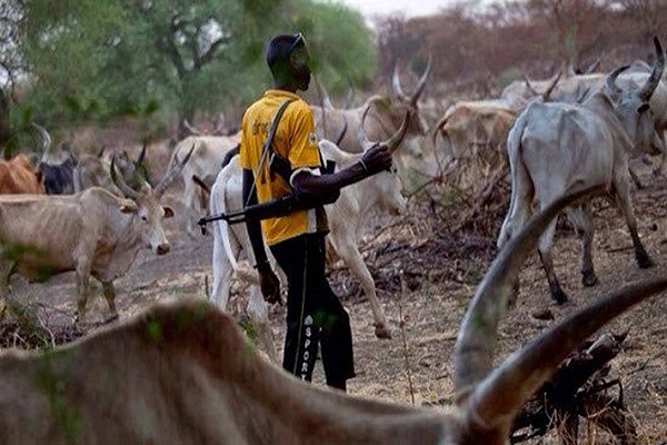Herdsmen kill 26 in Benue communities