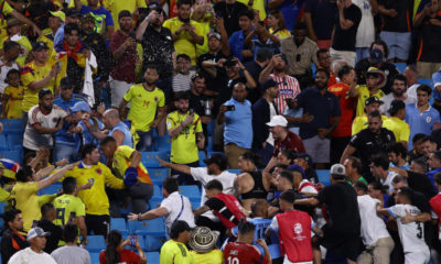 Darwin Núñez, Uruguay players jump in stands after Copa loss