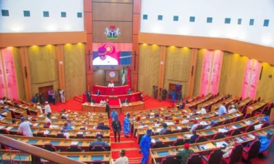 Senate To Screen Christopher Musa As defence Minister Today