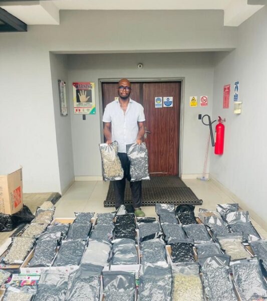 The National Drug Law Enforcement Agency (NDLEA) has seized illicit shipments of cocaine and Loud, a synthetic strain of cannabis
