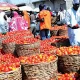 As bumper harvests are being reported in various parts of Nigeria, the anticipated impact on the prices of farm produce has sparked a mixed