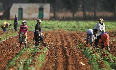 Reps to probe CBN’s anchor borrowers’ programme