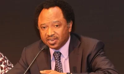 A former federal lawmaker, Shehu Sani, has reacted to the alleged diversion of bags of rice meant for the poor in Katsina State.