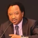 A former federal lawmaker, Shehu Sani, has reacted to the alleged diversion of bags of rice meant for the poor in Katsina State.