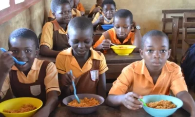 FG to relaunch school feeding programme, says Wale Edun