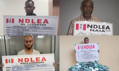 Mr. Paul Mbadugha, a businessman destined for Vietnam, was apprehended by authorities from the National Drug Law Enforcement Agency
