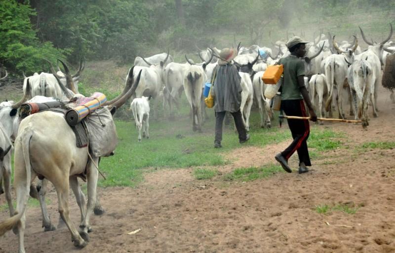 Herders invade Osun Govt farm settlement, destroy harvest