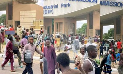 The Kano State police command said it has arrested a total of 392 who were suspected to have looted the NCC Industrial Park during the