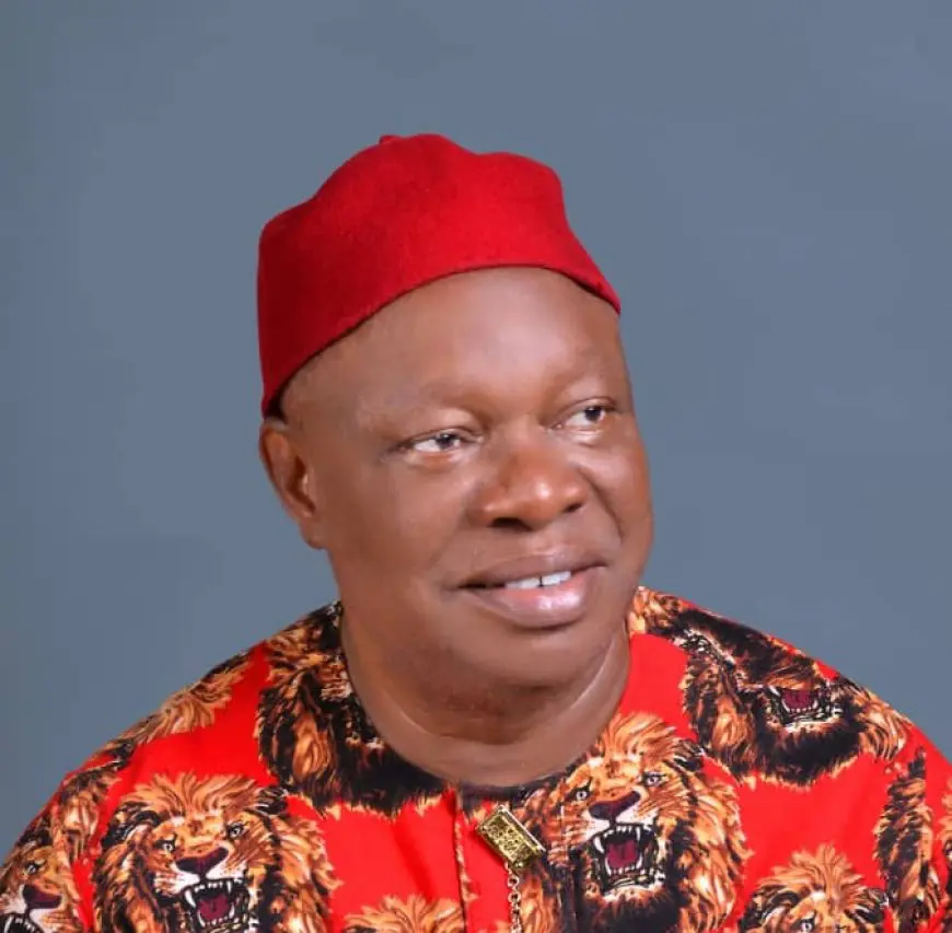 Tribunal upholds Senator Okorie Ani’s election