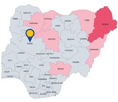 Gunshots Fired as Protesters Clash With Police in Niger State