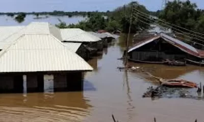 Flood kills 29, destroys 321,000 houses, 858,000 hectares of farmlands in Kebbi