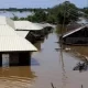 Flood kills 29, destroys 321,000 houses, 858,000 hectares of farmlands in Kebbi