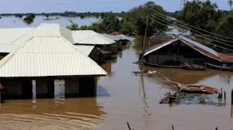Flood kills 29, destroys 321,000 houses, 858,000 hectares of farmlands in Kebbi