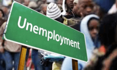 Nigeria’s unemployment rate increased to 5.3% in Q1 2024, says NBS